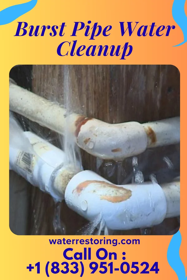 Burst Pipe Water Cleanup in Larrabee, IA
